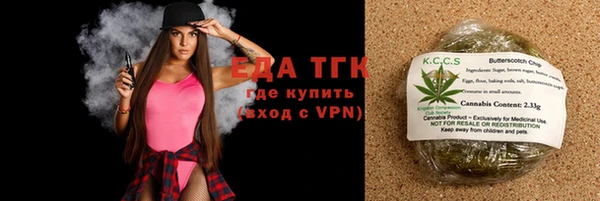хмурый Алексин