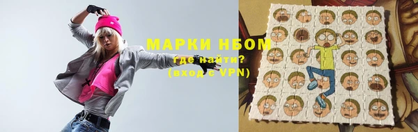 хмурый Алексин