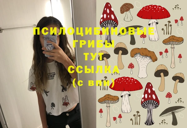 2c-b Алексеевка
