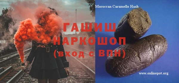 хмурый Алексин