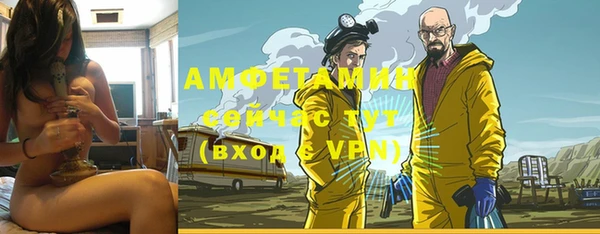 хмурый Алексин
