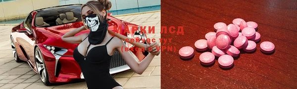 прущий лед Алзамай